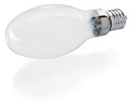 BLV HIE 100 WW E27 MATT