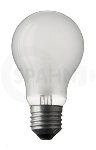 Light Bulb 12V 40W E27 60x105 frosted