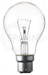 Light Bulb 24V 40W B22d 60x105 clear