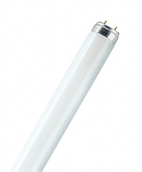 L 15 W/865 LUMILUX T8 OSRAM