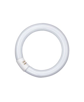 L 32W/865 G10Q Lumilux T9 C OSRAM