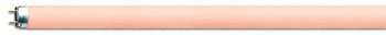 L 58 W/60 Colored T8 Red OSRAM