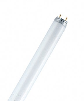L 58 W/60 Colored T8 Red OSRAM