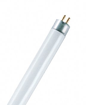 L 8 W/840 Lumilux T5 Short