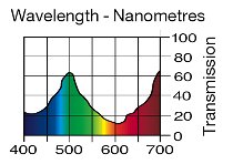 219 LEE Fluorescent green