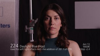 224 Daylight Blue Frost LEE FILTERS