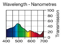 241 LEE Fluorescent 5700 Kelvin