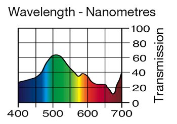 242 LEE Fluorescent 4300 Kelvin