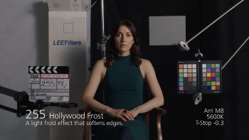 255 Hollywood Frost