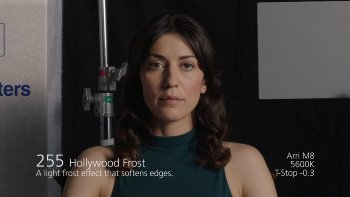 255 Hollywood Frost