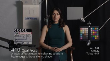 410 Opal Frost LEE FILTERS