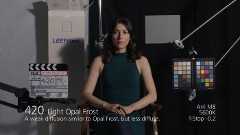420 Light Opal Frost LEE FILTERS