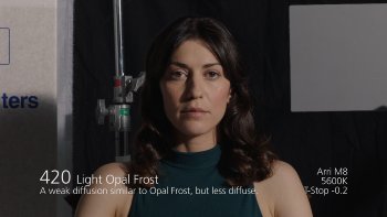 420 Light Opal Frost LEE FILTERS