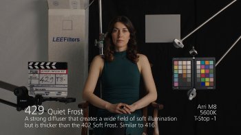 429 Quiet Frost