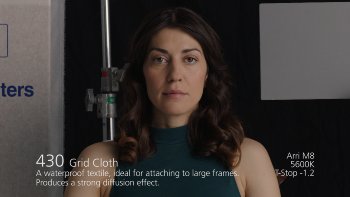 430 Grid Cloth LEE FILTERS