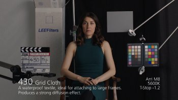 430 Grid Cloth LEE FILTERS