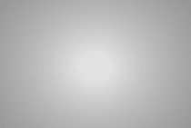 432 Light Grid Cloth LEE FILTERS