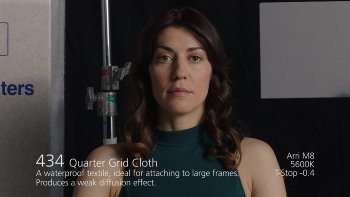 434 Quarter Grid Cloth LEE FILTERS