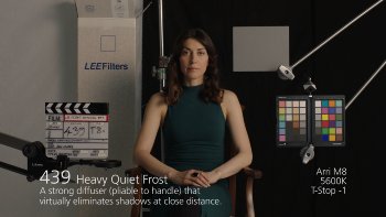 439 Heavy Quiet Frost