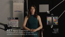 439 Heavy Quiet Frost