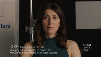 439 Heavy Quiet Frost