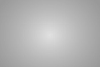 462 Quiet Light Grid Cloth LEE FILTERS