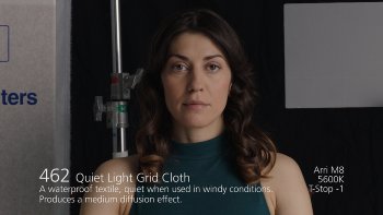 462 Quiet Light Grid Cloth LEE FILTERS