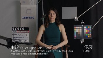 462 Quiet Light Grid Cloth LEE FILTERS