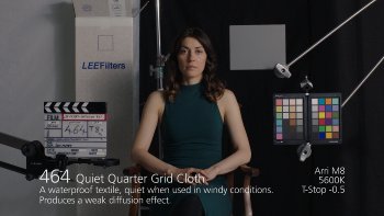 464 Quiet Quarter Grid Cloth LEE FILTERS