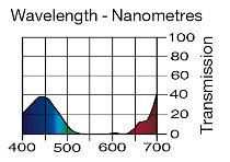 508 Midnight Maya LEE FILTERS