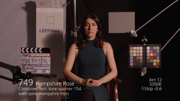 749 Hampshire Rose LEE FILTERS