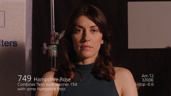 749 Hampshire Rose LEE FILTERS