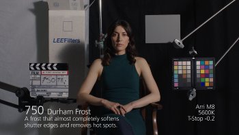 750 Durham Frost LEE FILTERS