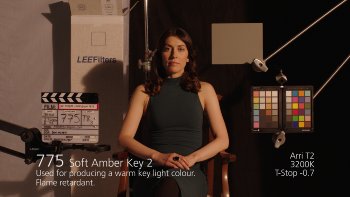 775 Soft Amber Key 2
