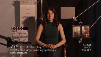 775 Soft Amber Key 2
