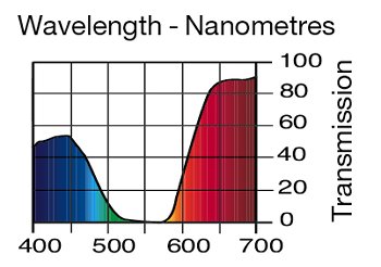 795 MAGICAL MAGENTA