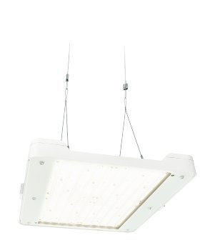 BY481P LED250S/840 PSD MB GC WH