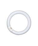 L 32W/865 G10Q Lumilux T9 C OSRAM