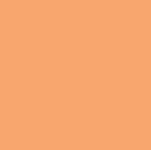 806 Zircon Warm Amber 2